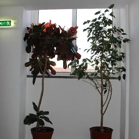 Pensión Dom Fernando I