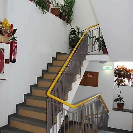 Guest house Dom Fernando I *